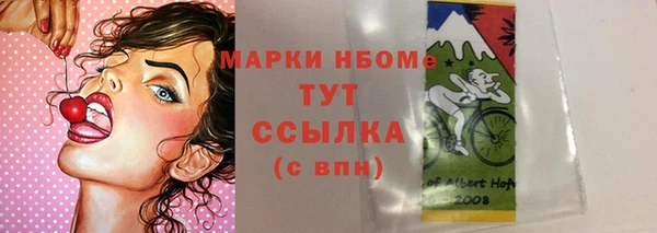 круглые Карпинск