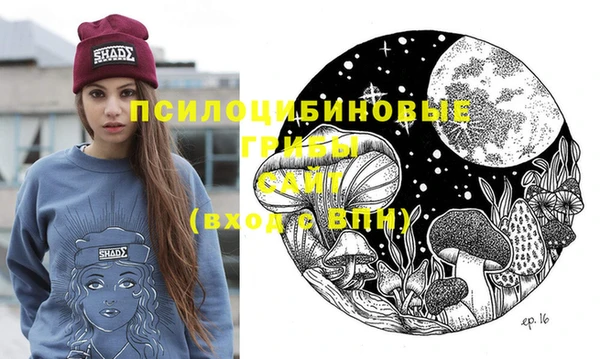 круглые Карпинск