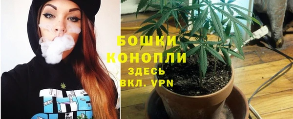 mdpv Касимов